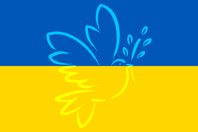 ukraine-g706807c66_640