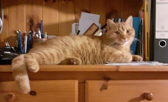 20251123-180004-1-front-copy