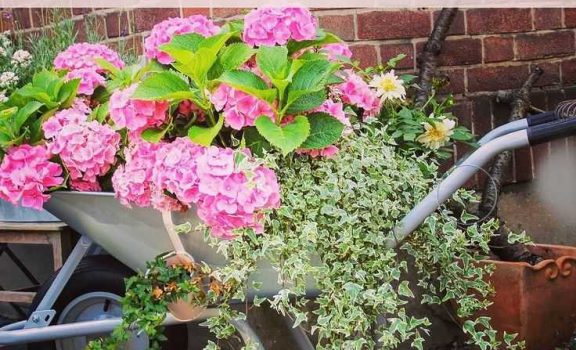 Garten_und_Naturfreunde