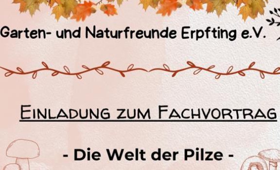 Gartenbau Front (Copy)