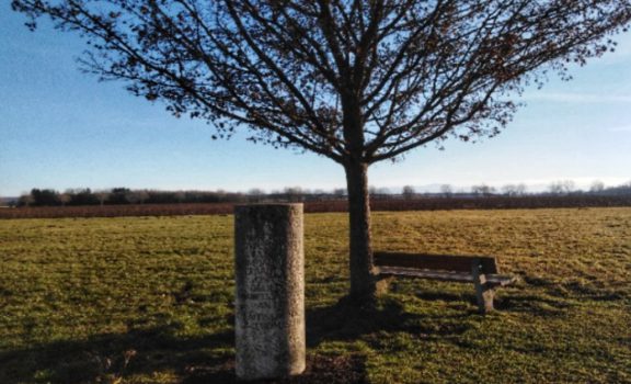 Screenshot_20210112-204021-02