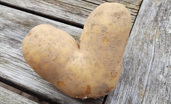 kartoffel-front-copy