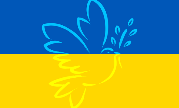 ukraine-g706807c66_640