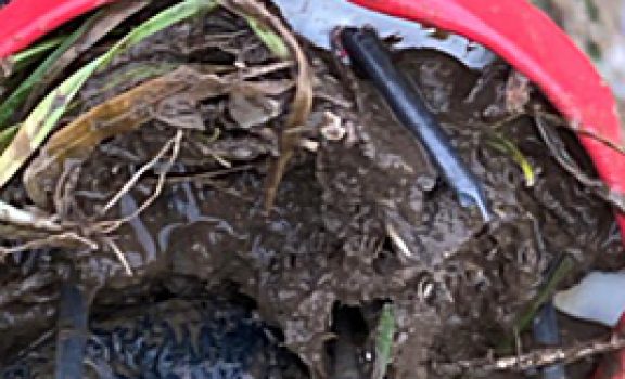 whatsapp-bild-2024-12-04-um-095422-53b1d12b-copy