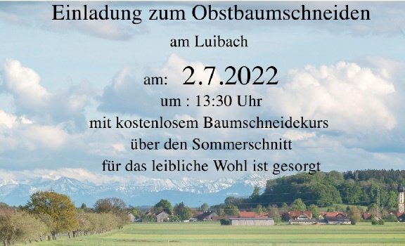 wp-16548590665393433978470189407949