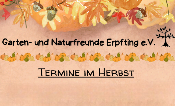 wp-16969574436924475208805720993251